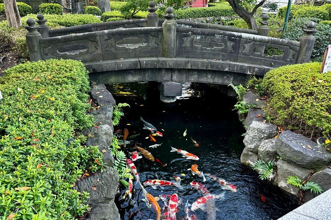 2-hours-private-walking-tour-in-asakusa-tokyo