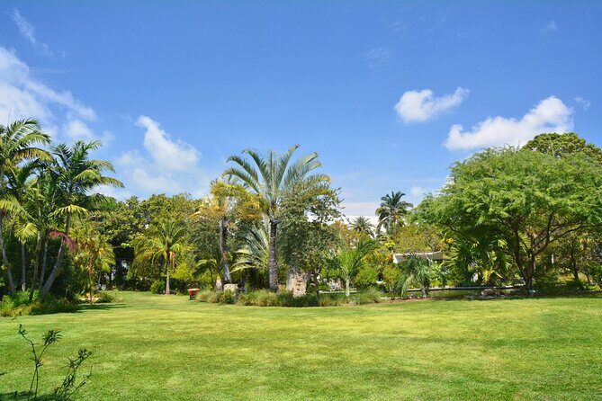 2 Hours Private Walking Tour in Miami Beach - Who Should Consider This Tour?