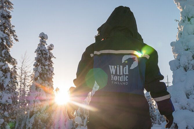 2-hours-snowmobile-safari-to-the-levi-nature