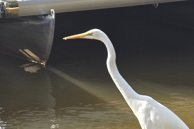 2 Hours Sunset Experience on Noosa River - Who Is This Tour Best For?