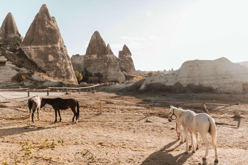 2-hours-sunset-horse-riding-tour-red-rose-valley