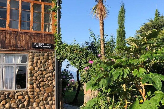2-hours-tea-house-and-tea-garden-trip-in-ozurgeti-georgia