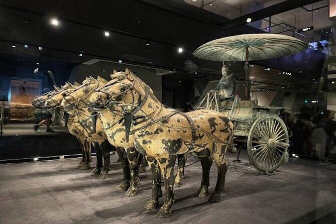 2 Hours Terracotta Warriors Visit in China - Introduction