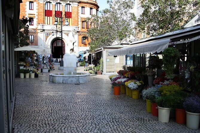 2 Hours Tour around Cádiz: History, anecdotes and curiosities - An In-Depth Look at the Cádiz Walking Tour