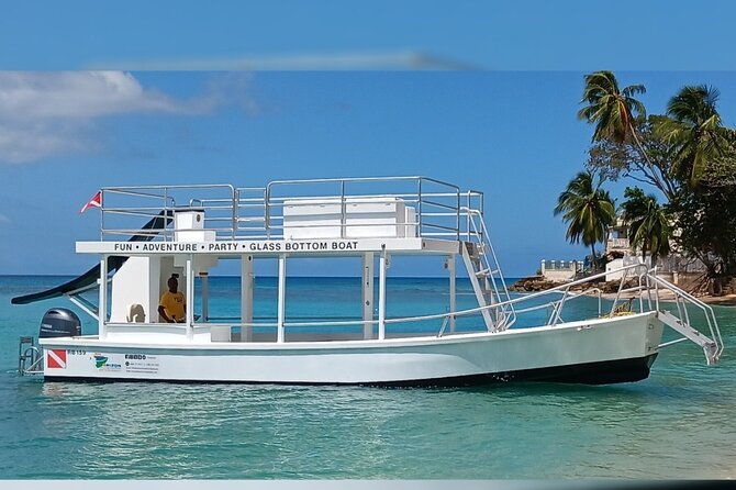 2-hours-turtle-feeding-shipwreck-reef-snorkeling-tour-barbados