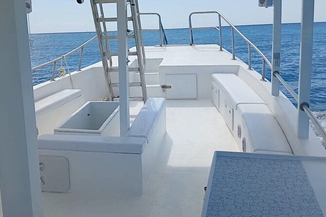 2-hours-turtle-feeding-shipwreck-reef-snorkeling-tour-barbados