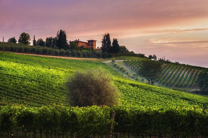 2-hours-visit-and-wine-tasting-with-tastings-in-val-dorcia