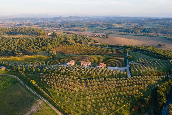 2-hours-visit-and-wine-tasting-with-tastings-in-val-dorcia