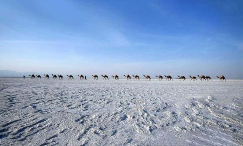 2-Night 3-Day Danakil Depression Tour without Flights - The Itinerary in Detail