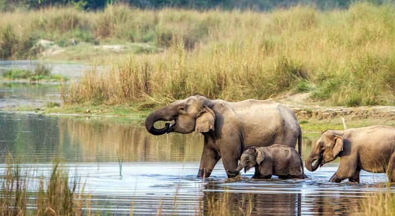 2-night-3-days-chitwan-national-park-from-kathmandu-pokhra