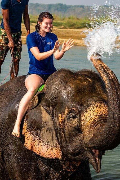 2-night-3-days-chitwan-national-park-from-kathmandu-pokhra