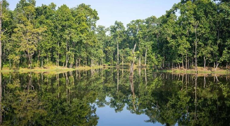 2-night-3-days-chitwan-national-park-from-kathmandu-pokhra