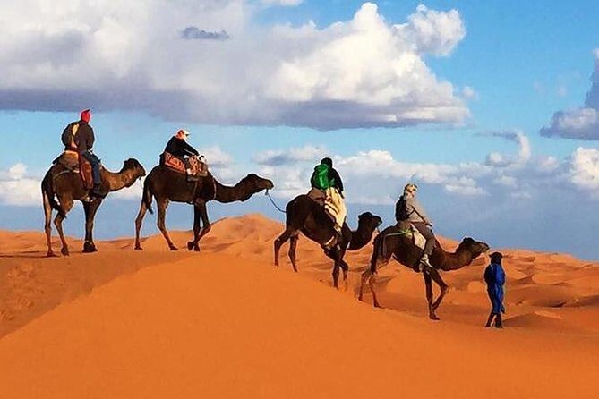 2 night camel trekking in merzouga desert - Exploring a 2-Night Camel Trekking Adventure in Merzouga Desert