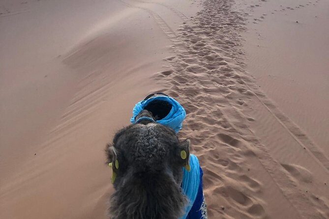2 night camel trekking in merzouga desert - Key Points