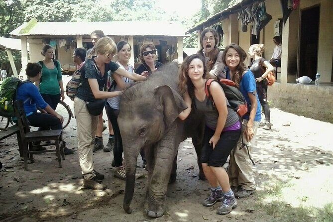 2 Night Jungle Safari Tour in Chitwan National Park - Introduction: Why Choose this Jungle Safari in Chitwan?