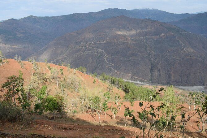 2 Night Jungle Safari Tour in Chitwan National Park - The Sum Up: Who Will Love This Tour?