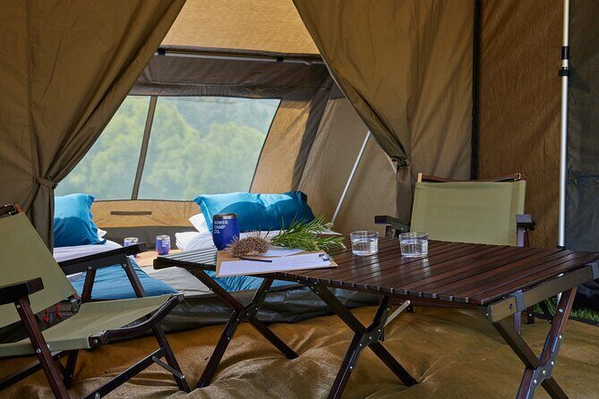 2 Night Rainforest Glamping Adventure near Byron Bay - A Closer Look at the Experience