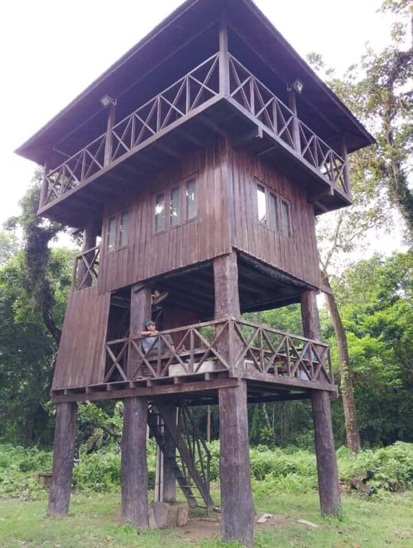 2-Night Treehouse Tower Night Stay in Chitwan National park - Final Thoughts: Who Will Love This Experience?