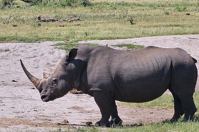 2 Nights & 3 Day Kruger National Park Safari & Panorama Route - Key Points