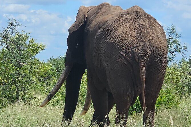 2 Nights & 3 Day Kruger National Park Safari & Panorama Route - Who Should Consider This Tour?