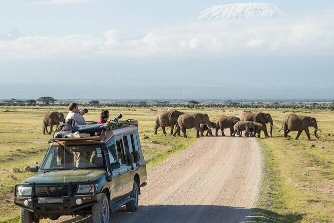 2 Nights 3 Days Amboseli National Park With 4*4 Vehicle - Possible Considerations