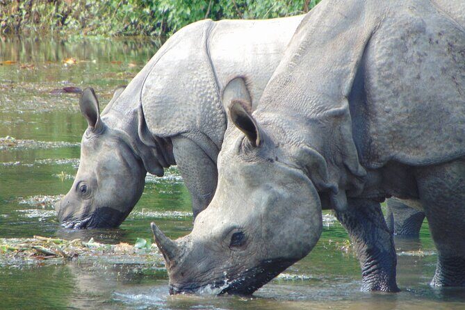 2 nights 3 days Chitwan Jeep Safari Package - The Journey from Kathmandu to Chitwan