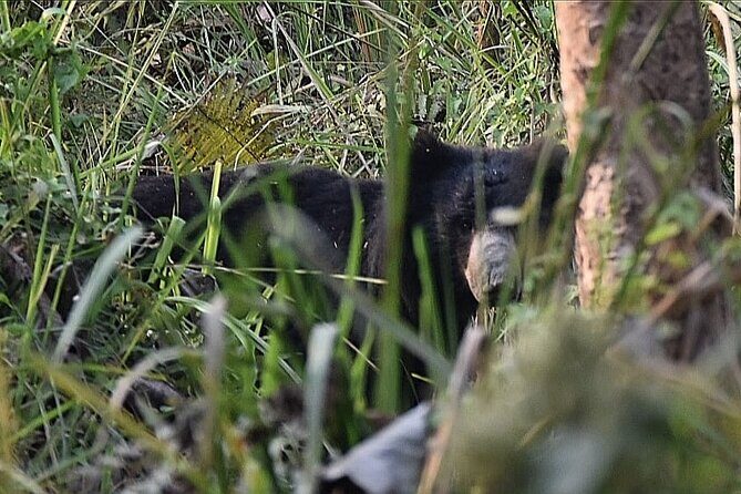 2 nights 3 days Chitwan Jeep Safari Package - Arrival and First Impressions