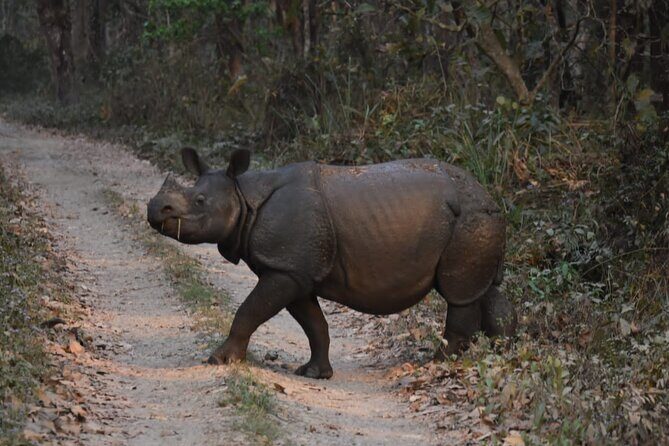 2 nights 3 days Chitwan Jeep Safari Package - The Food: A Highlight for Many