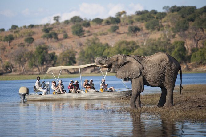 2 Nights 3 Days Chobe Safari ex Livingstone/ Victoria Falls - Key Points