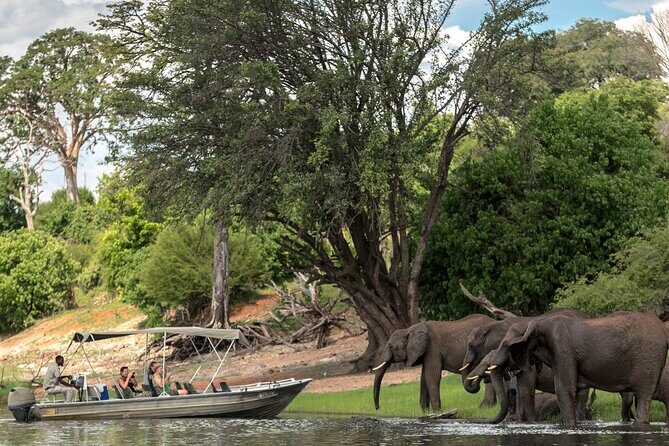 2 Nights 3 Days Chobe Safari ex Livingstone/ Victoria Falls - Frequently Asked Questions