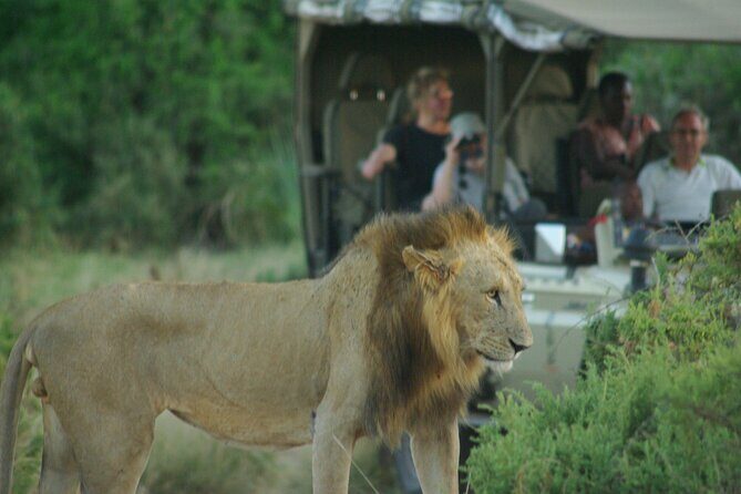 2 nights 3 days Masai Mara safari package - Analyzing the Itinerary