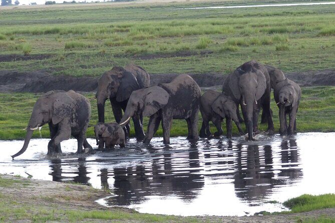 2 nights 3 days Overnight Mokoro Trail Okavango delta - The Sum Up