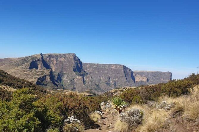 2 Nights 3 Days Trek to Semien Mountain - An In-Depth Look at the 3-Day Semien Mountain Trek