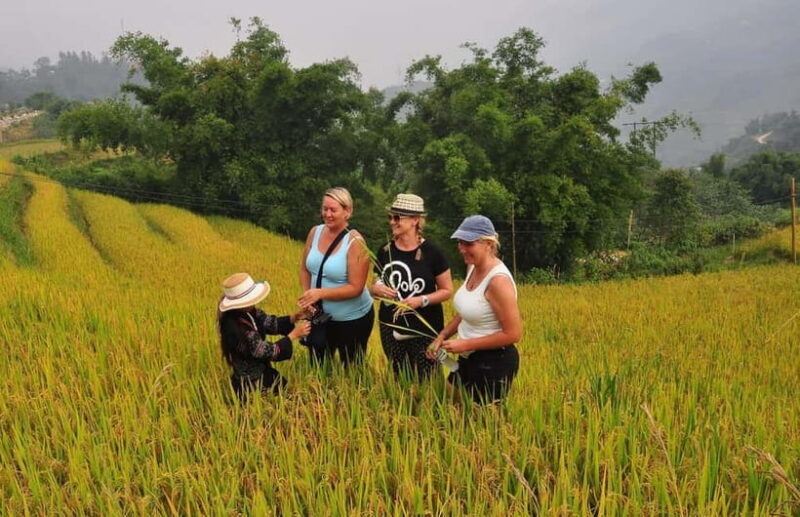 2 Nights At Sapa Homestay - Trekking & Fansipan Visit - Authenticity and Cultural Connection