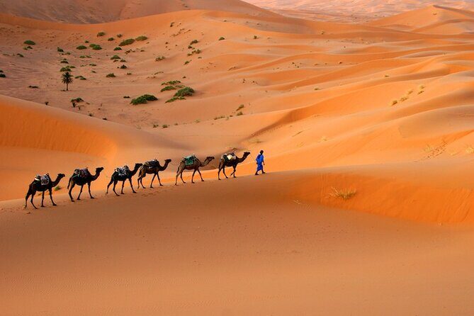 2 Nights in Merzouga desert - The Experience: A Deep Dive into the Tour