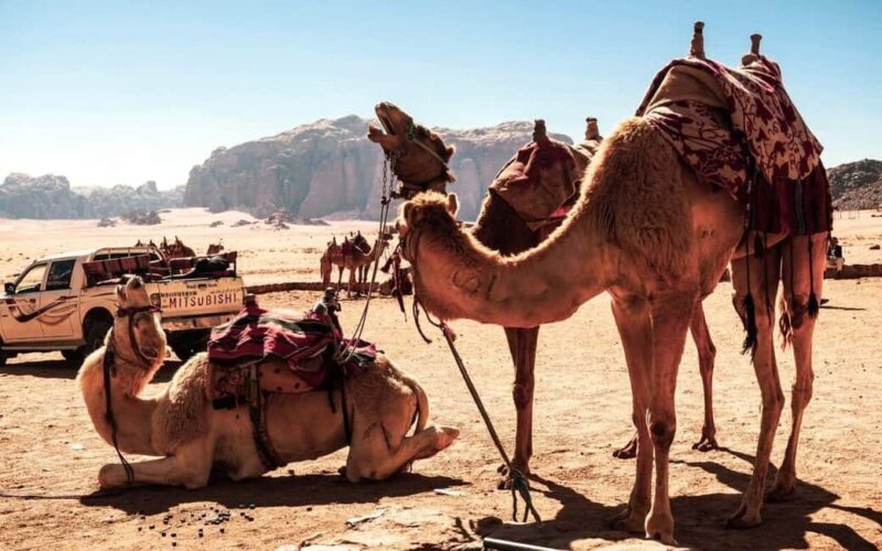 2 Nights in Petra: A 4 Day tour of Desert, Dead & Red Seas - The Sum Up