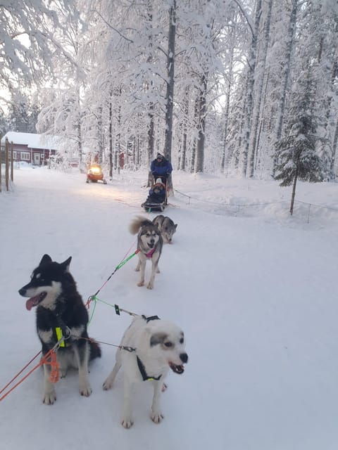 2-nights-lapland-experience