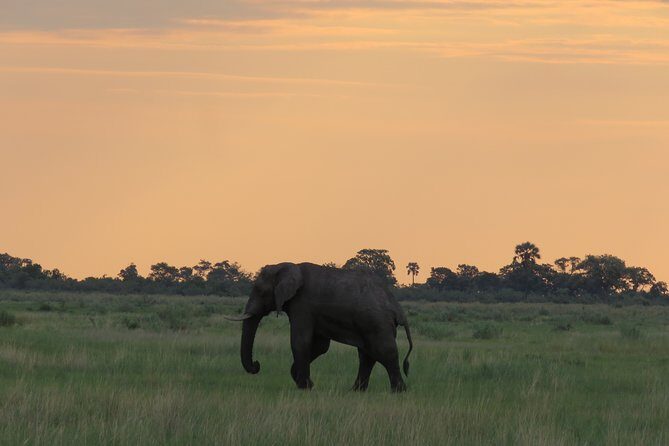 2 Nights Okavango Delta Mokoro WildCamping Tour, all-inclusive - Food and Support for Local Communities