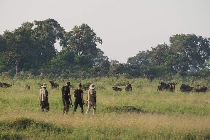 2 Nights Okavango Delta Mokoro WildCamping Tour, all-inclusive - Potential Drawbacks or Considerations