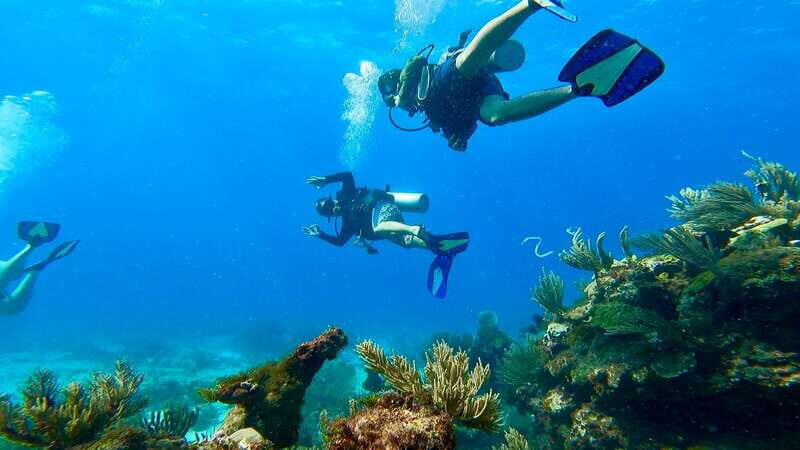 2 Ocean Dives: MUSA Underwater Museum and Manchones Reef - An In-Depth Look at the Cancun Underwater Experience