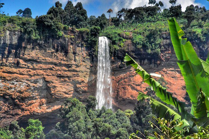 2 Sipi Falls hike and Coffee Tour Experience - Authentic Experiences and Guest Insights