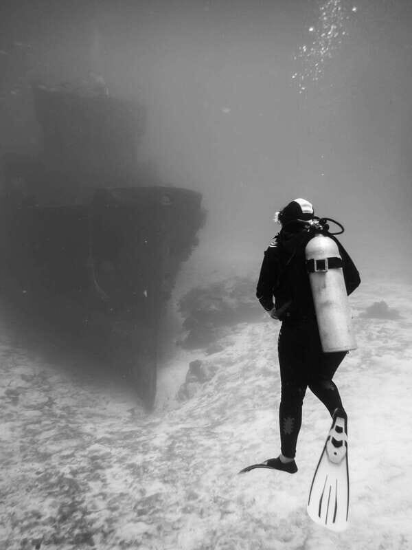 2 Tank Dive in Cozumels Marine National Park - Exploring Cozumel’s Marine National Park: What You’ll Experience