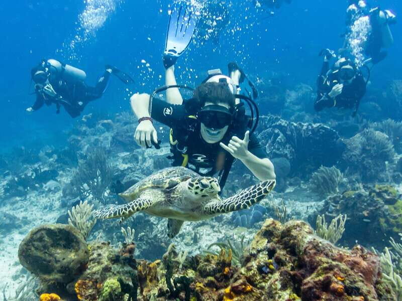 2 Tank Dive in Cozumels Marine National Park - Detailed Breakdown of the Itinerary