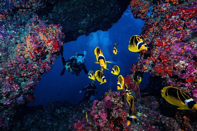 2-tank-lanai-cathedral-scuba-dive-via-boat-for-certified-divers