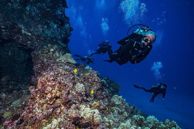2-tank-lanai-cathedral-scuba-dive-via-boat-for-certified-divers