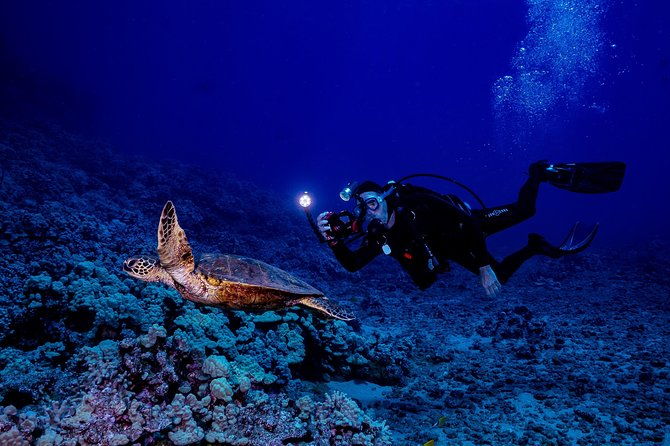2-tank-lanai-cathedral-scuba-dive-via-boat-for-certified-divers