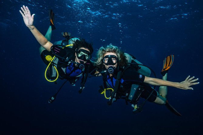 2-tank-maui-turtle-scuba-dive-or-snorkel-boat-tour