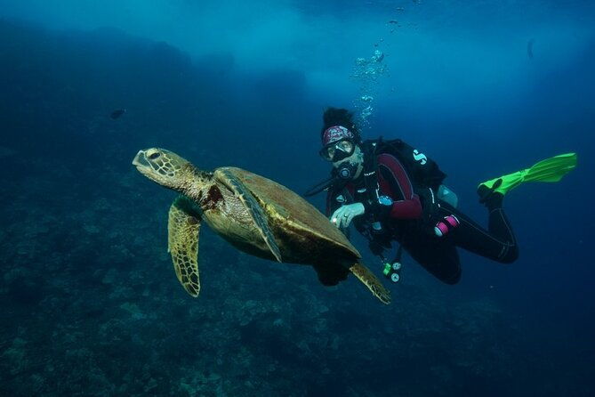 2-tank-maui-turtle-scuba-dive-or-snorkel-boat-tour