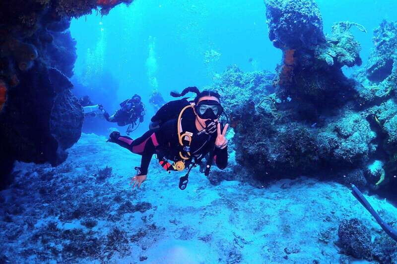 2 Tank Morning Cozumel Dives for Certified Divers - Key Points