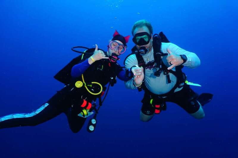 2 Tank Morning Cozumel Dives for Certified Divers - Why This Tour Works for You